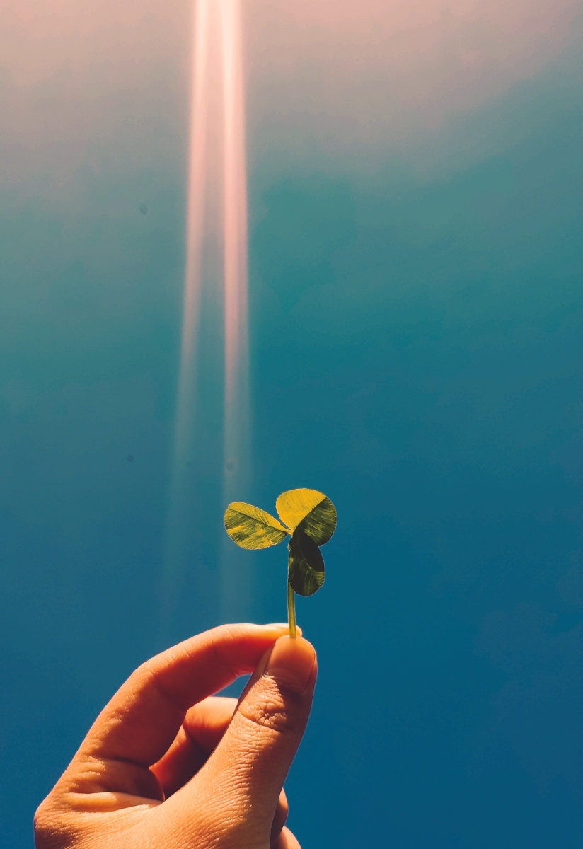 是光照进来的地方