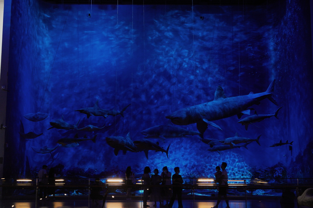 广东省博物馆海洋馆