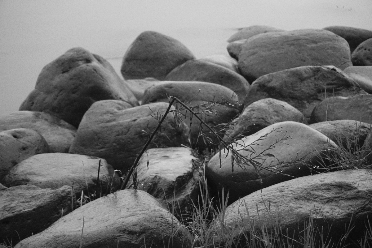 冒着暴雨看湖泊的疯狂与一些落寞