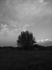 F7A36E87-FE9E-451C-A34F-B084EDCAD9DF/L0/001