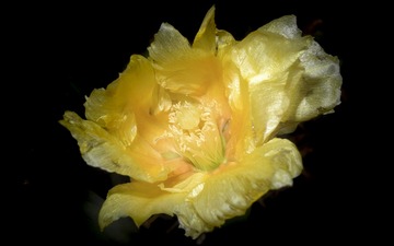 4346109B-B7C1-4A22-8789-7D1591986DC3/L0/001