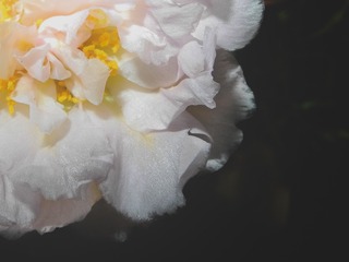 E3D5F1B4-C201-45AA-9E36-55D389594BF5/L0/001