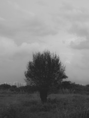 9C1FD97D-9050-4BEF-AE44-EB875EFD8058/L0/001