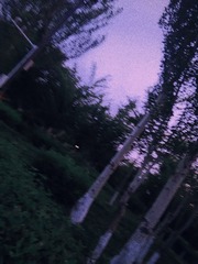 2460466