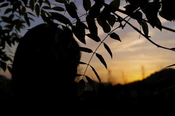 B35035E4-93B2-4DE7-AA9B-0ACF43805FA7/L0/001