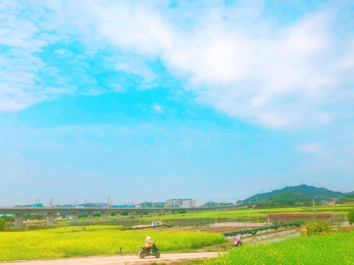 春回大地万物复苏阳光满路温暖如初777777