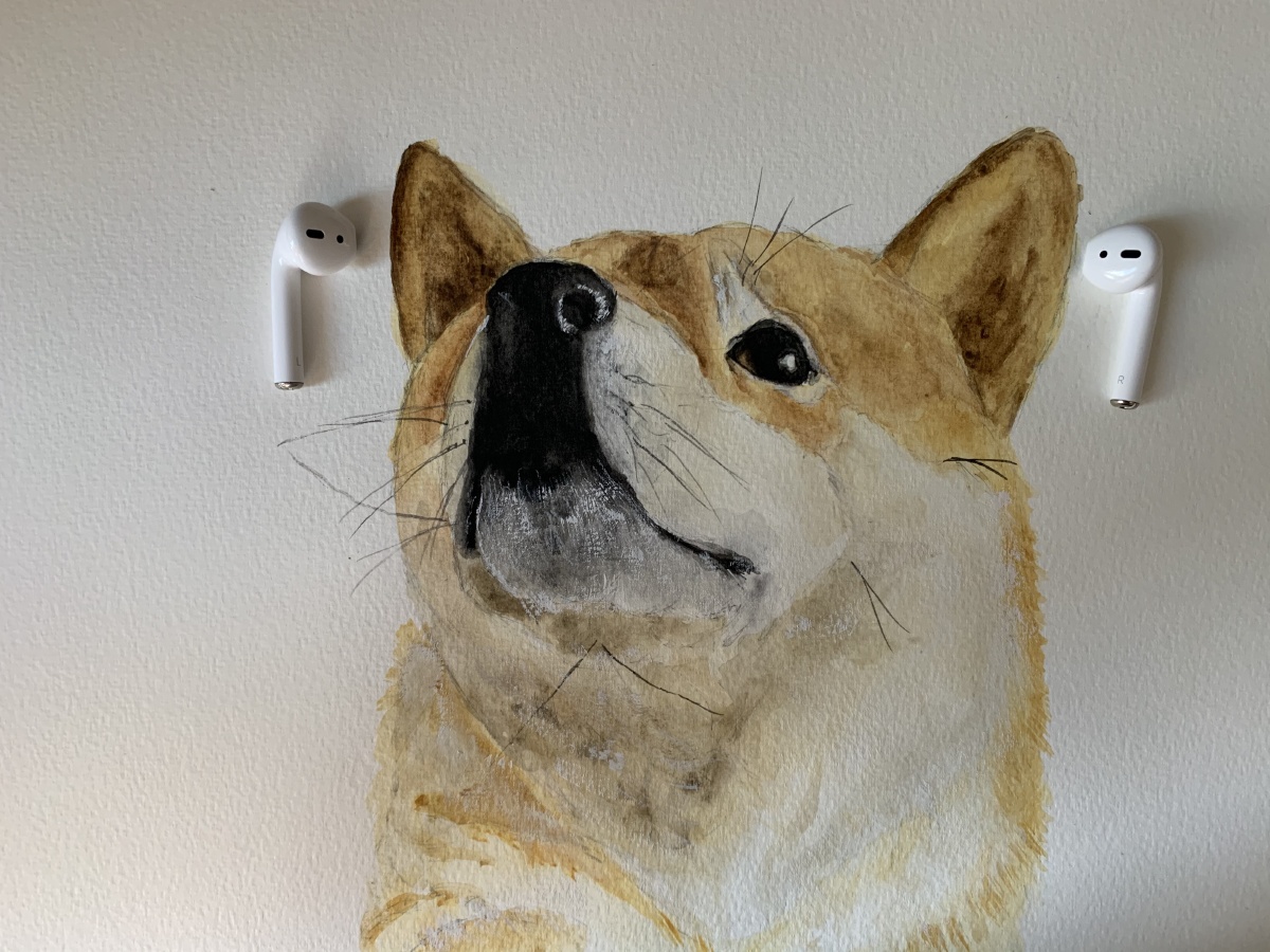 水彩作品柴犬八公最忠诚的狗狗