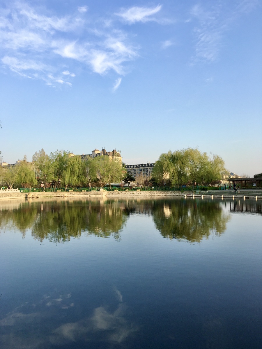 清明时节气清景明万物皆显