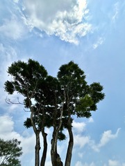 01E71C2B-9EE6-4DAA-8ADC-B30B92727713/L0/001