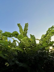 48C8FBC6-7C45-4D96-92E5-737FB1E95F04/L0/001