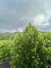 DCE9D02A-0E3D-4540-9D08-E9C9811A8A8F/L0/001