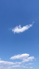 446871