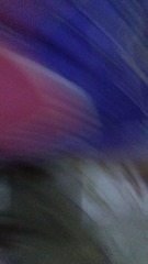 270263