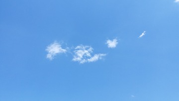 446877