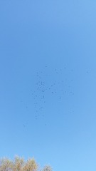 534699