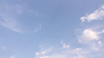 247146