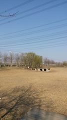 395372
