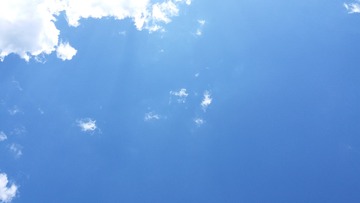 446884