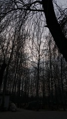 545851