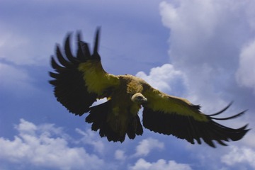 359166