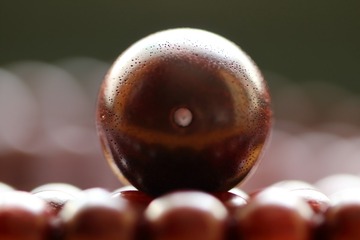 261219