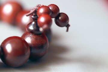 259284