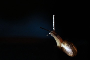 268091