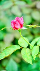 0307E2A8-ACE9-4BE1-8F9A-EF9DBA8D4DCD/L0/001