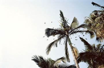 xiamen