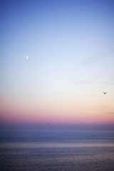 IMG_8661.jpg