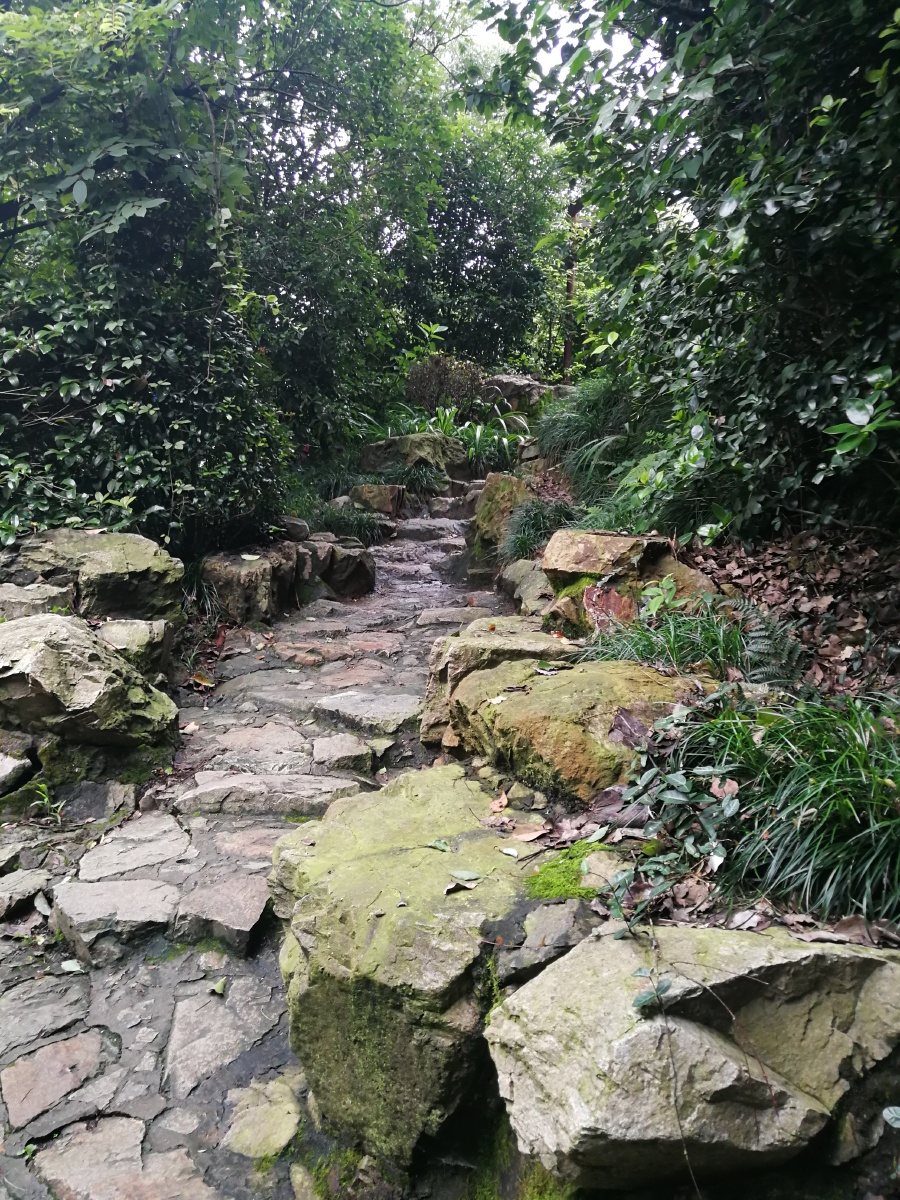 白云飞瀑公园山间小径