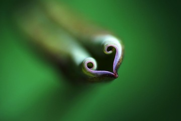 脸谱（组照1）