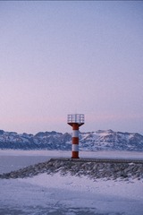 33451