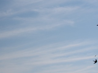 123170
