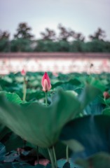 HWW_6024-编辑-2
