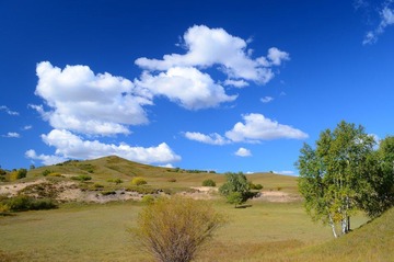 DSC_1603.JPG