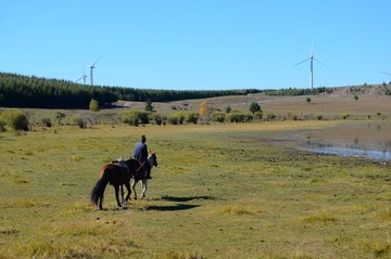 DSC_1805.JPG