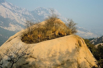 DSC_3294.jpg