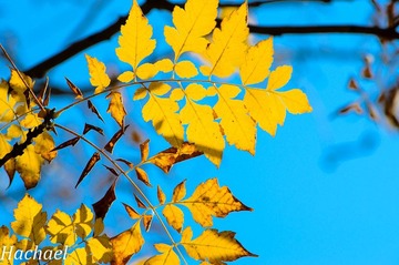 DSC_3759.jpg