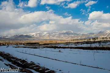 DSC_4223.jpg