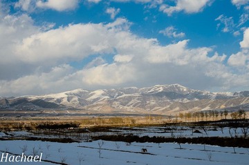 DSC_4224.jpg
