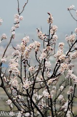 DSC_4814.jpg