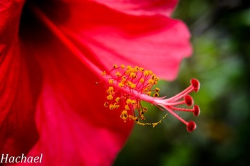DSC_4841.jpg