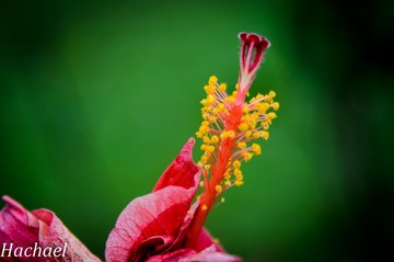 DSC_4844.jpg