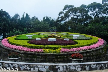 DSC_5218.jpg