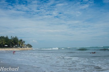 DSC_6273.jpg