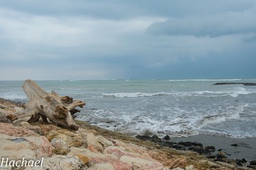 DSC_6405.jpg