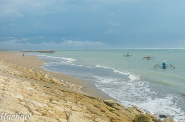 DSC_6464.jpg
