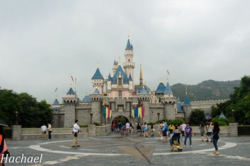 DSC_6543.jpg