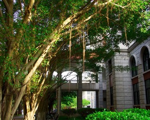 DSC00055 (1)